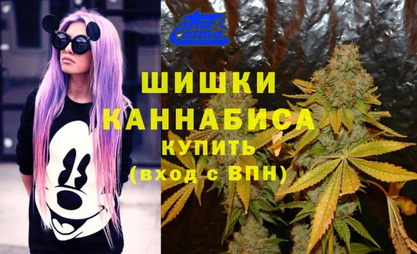 соль ск Балахна