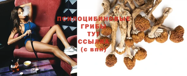 дживик Балабаново