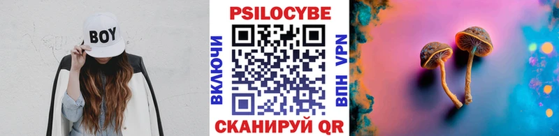 Псилоцибиновые грибы Psilocybe Пудож